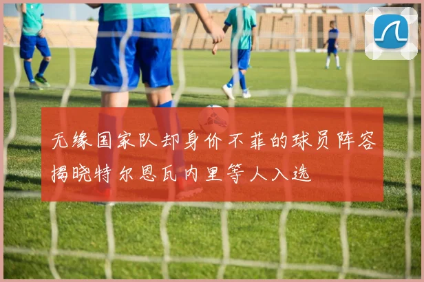 无缘国家队却身价不菲的球员阵容揭晓特尔恩瓦内里等人入选