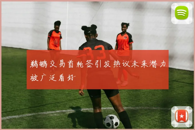 鹈鹕交易首轮签引发热议未来潜力被广泛看好