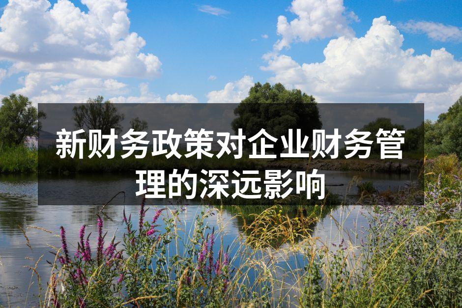 新财务政策对企业财务管理的深远影响