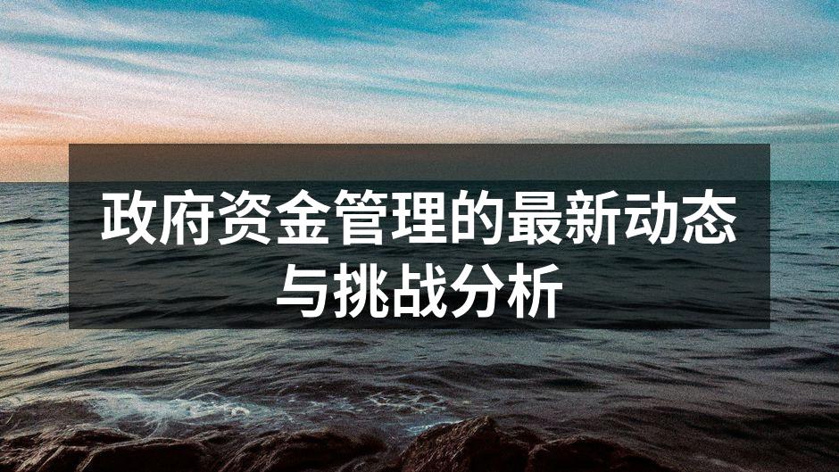 政府资金管理的最新动态与挑战分析
