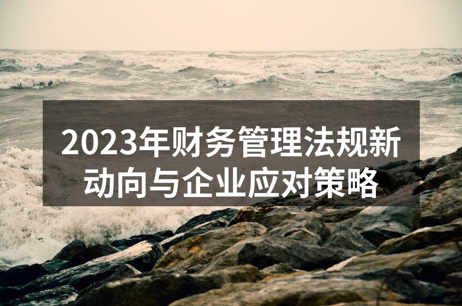 2023年财务管理法规新动向与企业应对策