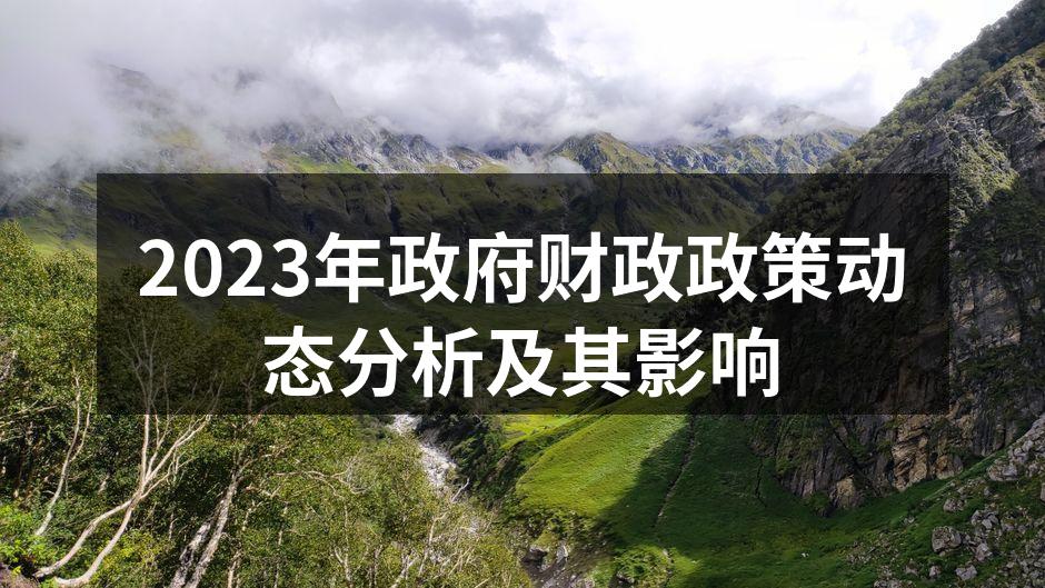 2023年政府财政政策动态分析及其影响