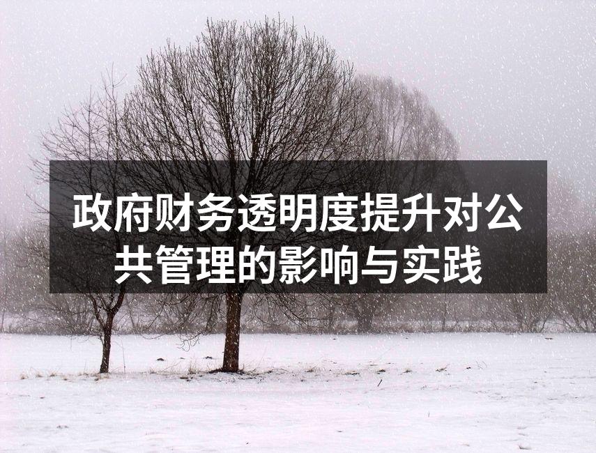 政府财务透明度提升对公共管理的影响与实践