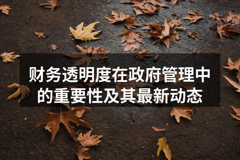 财务透明度在政府管理中的重要性及其最新动