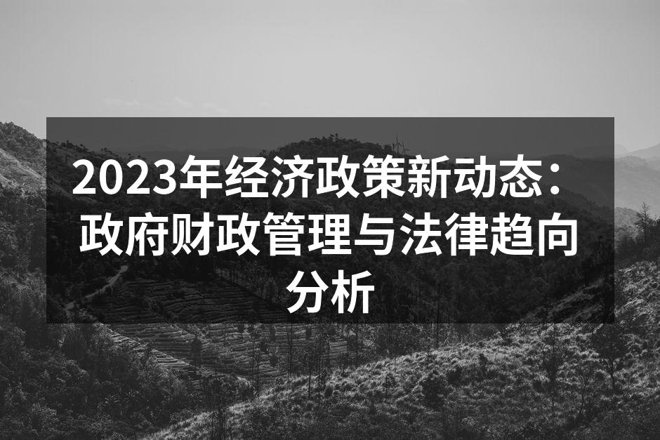 2023年经济政策新动态：政府财政管理与